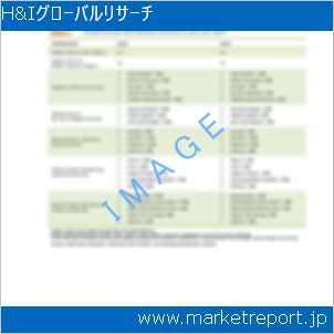 市場と産業調査レポートのイメージ